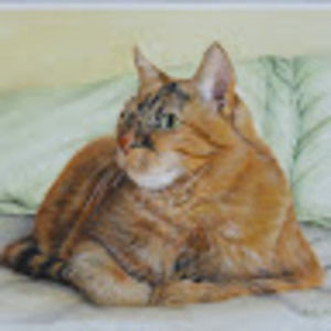 Meet your Posher, Cameron